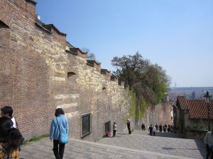 IMG_3407.JPG