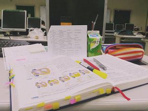 IMG_20160523_190346.jpg