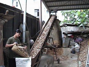 北埔峨眉/茶葉+樟腦/製茶/「樟腦」是無煙火藥的重要配料，也