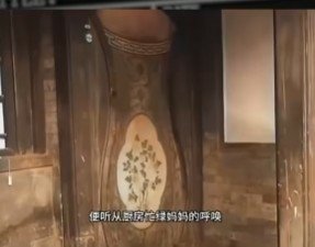 老照片1012