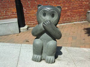 CIMG6884