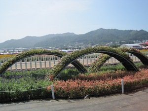 IMG_1682