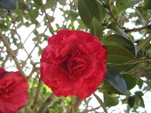 IMG_1701