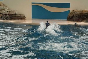 IMG_3388.jpg