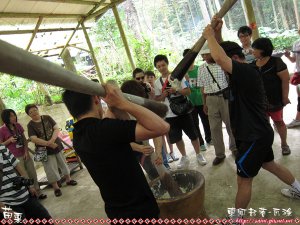 IMG_4011.jpg