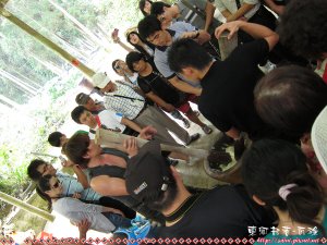 IMG_4006.jpg