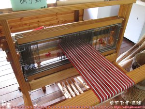IMG_3854.jpg