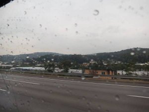 IMG_4170.JPG