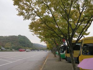 IMG_4177.JPG