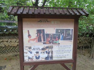 IMG_4213.JPG