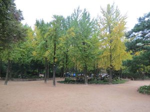 IMG_4233.JPG