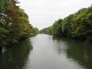 IMG_4285.JPG
