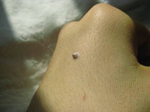 IMG_9278.JPG