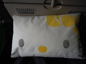 DSCN2789