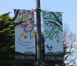 IMG_0125