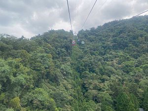 IMG_2354.JPG
