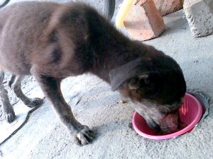 2010-09016.jpg