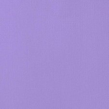 American_Crafts_12x12_Cardstock_71011_Lavender_1024x1024.jpg