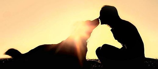 woman-kissing-dog-sunset.jpg