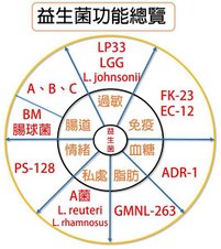 益生菌功能總覽