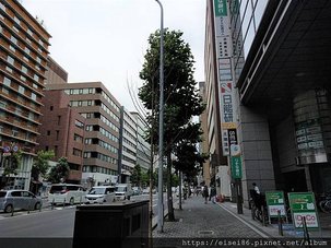 IMAG0203_1.jpg