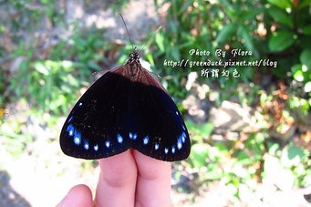 幻色.jpg