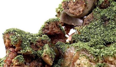 海苔豬腳