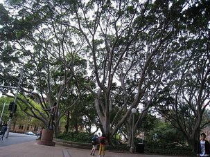 IMG_4676