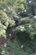 下一張(熱鍵:c)