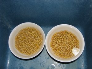 IMG_0906.JPG