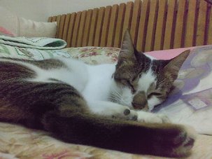 100714(1).jpg