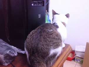 100709(9).jpg