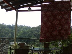 DSC06897.JPG