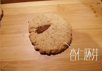 杏仁胚芽.jpg