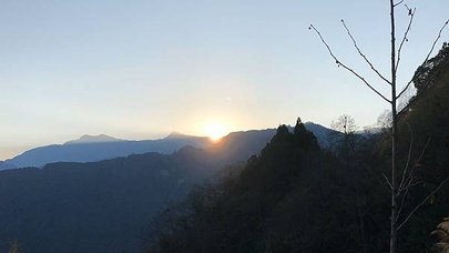 2019228阿里山_191003_0327.jpg