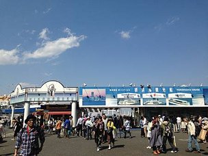 IMG_1553