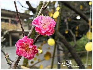 Nagoya Womens Marathon2015IMG_0245