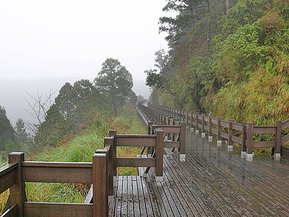 宜蘭太平山+溫泉之旅