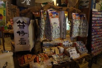 DSC07545.JPG