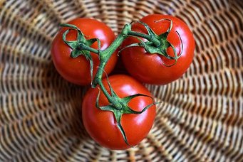 tomato_大蕃茄-3520004_1920_Image