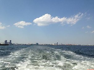 IMG_1541