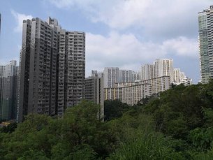 IMG_20191026_094211