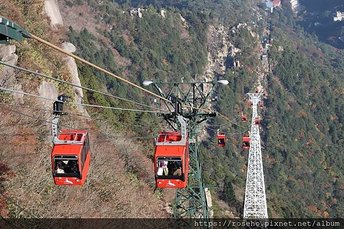 20191116燈會名花之里、御在所岳纜車賞楓_191228_0001.jpg