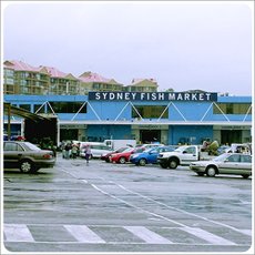 Sydney-Fish Market-01.jpg