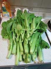 2012-10-25  種菜   001.JPG