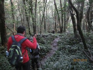 2015-07-30  新竹大混山李棟山八五山   124.JPG