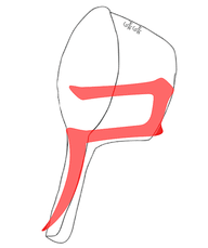 ㄕ.png