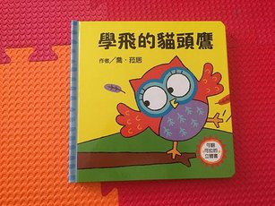 [立體書_可翻可拉] 學飛的貓頭鷹_封面.JPG