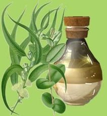 eucalyptus-oil-1207367.jpg