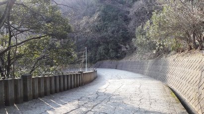 20160305_161620.jpg